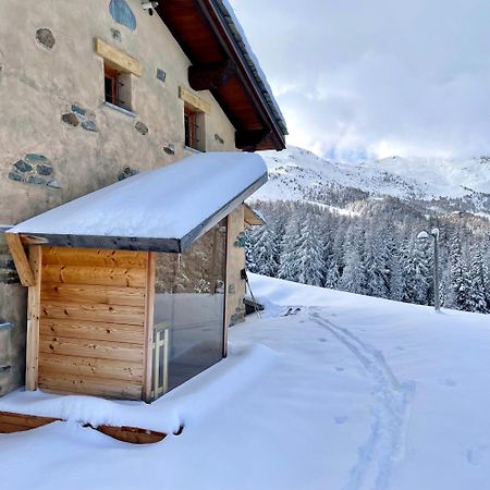 Alpine Dream House - Chalet Gressan Bagian luar foto